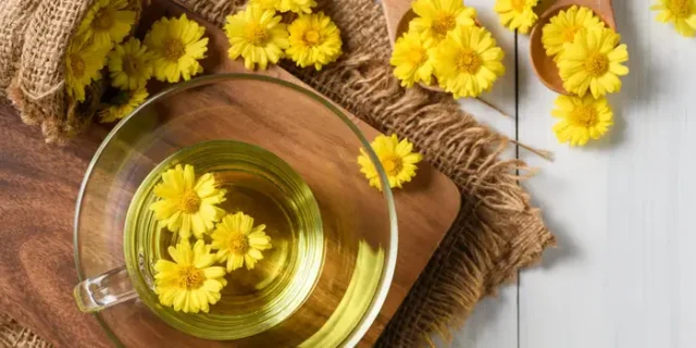 Dandelion Plant in Pakistan