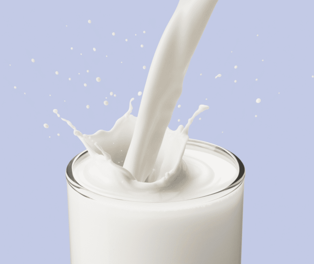 Made with Love, Served with Freshness